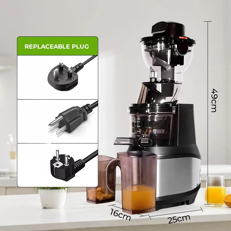 Estrattore di Succo Elettrico  - Electric Slow Juicer Cold Press recensione e prezzo